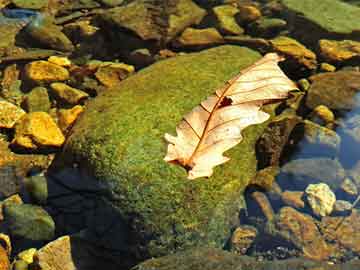 2004新澳门天天开好彩大全正版揭秘市场潜规则,2004新澳门天天开好彩大全正版_{关键词3}