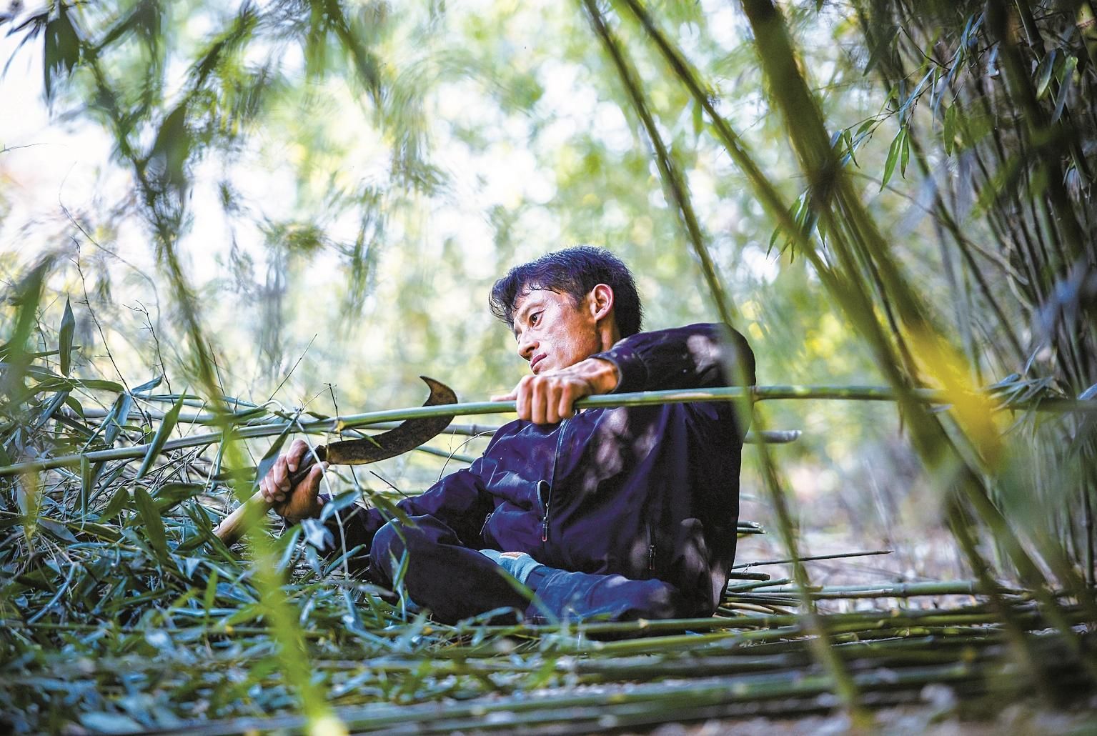 逆境中的坚韧——90后男子负债百万回大山砍竹子