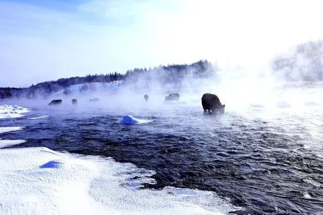 内蒙古阿尔山市创意宣传冰雪旅游，网友，这才是接地气的推广！