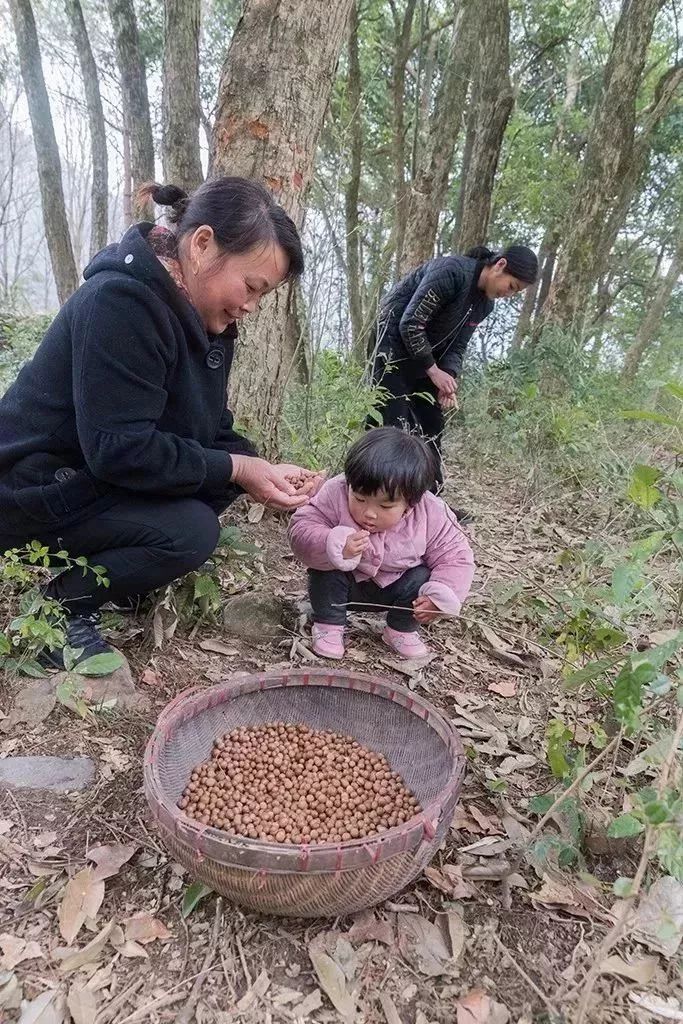 企业文化 第2页