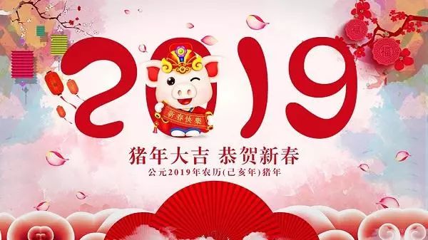 8千八百八十八只水母齐放，共贺新年