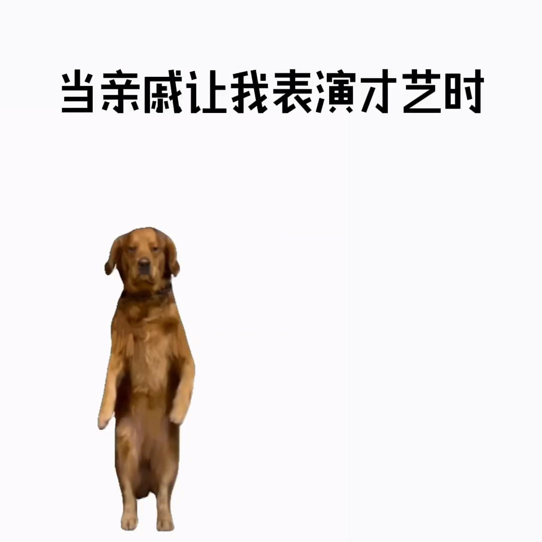 当亲戚让我表演才艺时