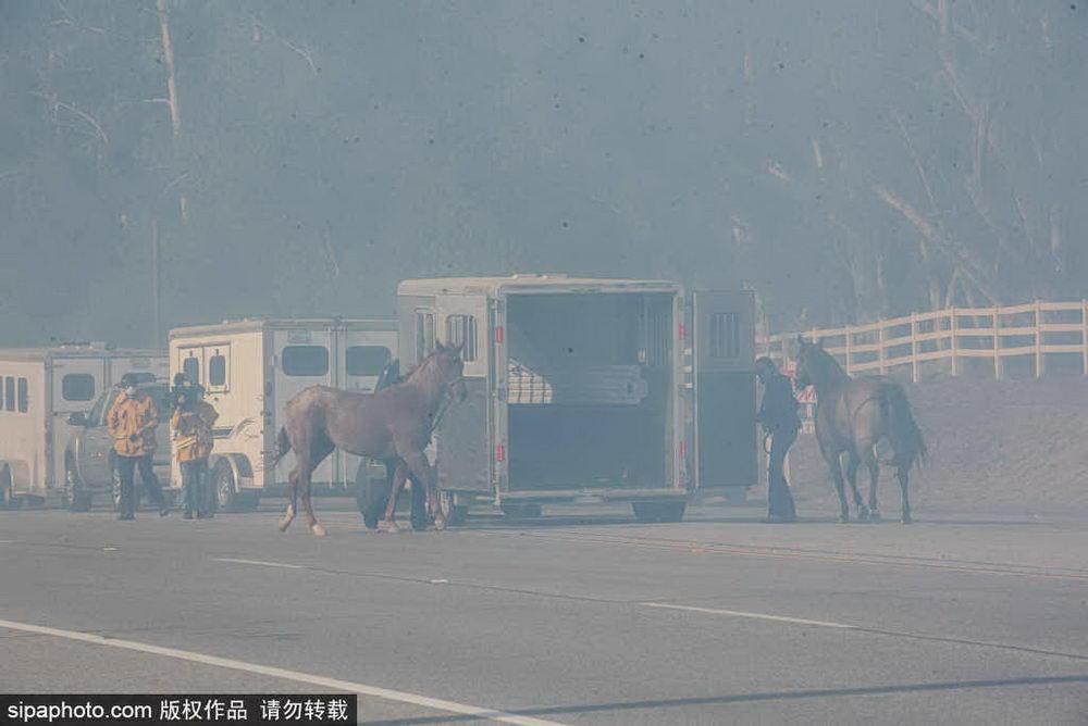 震撼！洛杉矶山火后的奇迹，1天狂降9个月雨量，城市命运悬于一线！