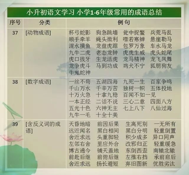 惊爆！2025新澳免费资料成语平特背后，藏着中国美丽与魅力的秘密！3DM51.545竟成关键？