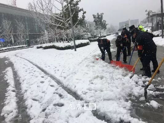 泪目告别！尔滨网红大雪人突然拆除，背后的真相令人震惊！