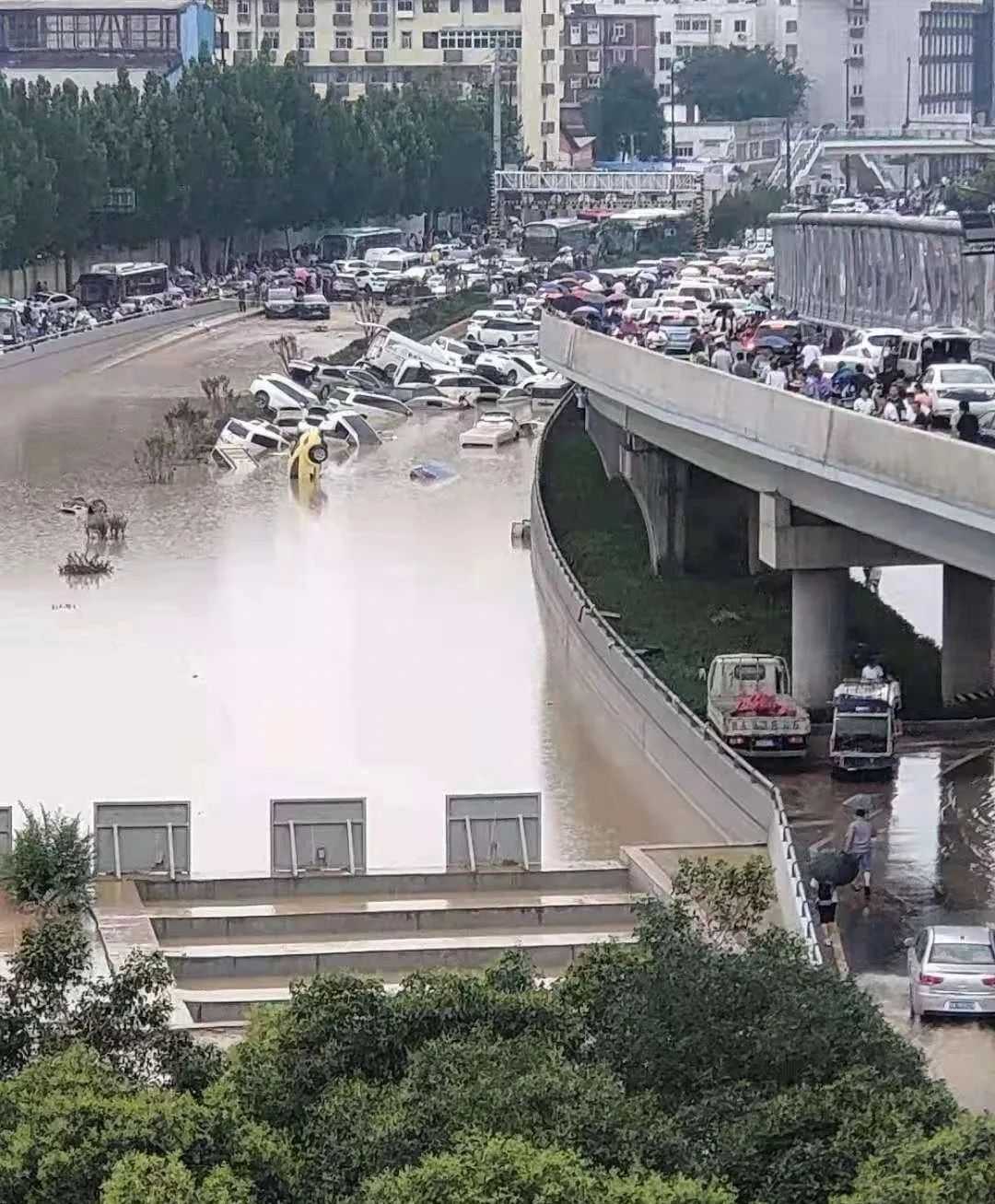 震惊！暴雨后的河南许昌竟是这样？真相让人意想不到！