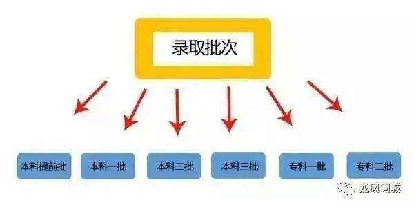 震惊！取消一二本划分竟让千万考生命运大反转，真相令人深思！