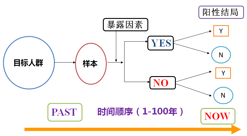 2025年天天开好彩56期震撼来袭！传统文化与现代科技碰撞，Chromebook 27.395带你解锁独特之美！