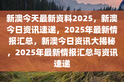 惊爆！新澳2025最新资料曝光，冒险版31.843背后的成功秘诀竟如此疯狂！